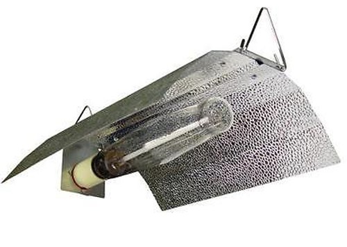 Lot hydroponic - lot, of